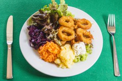 Tintenfischringe